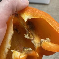 Milam's Markets - Rotten bell pepper
