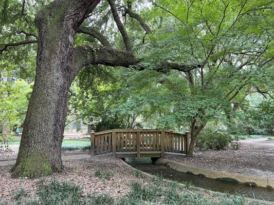 Hopelands Gardens by null