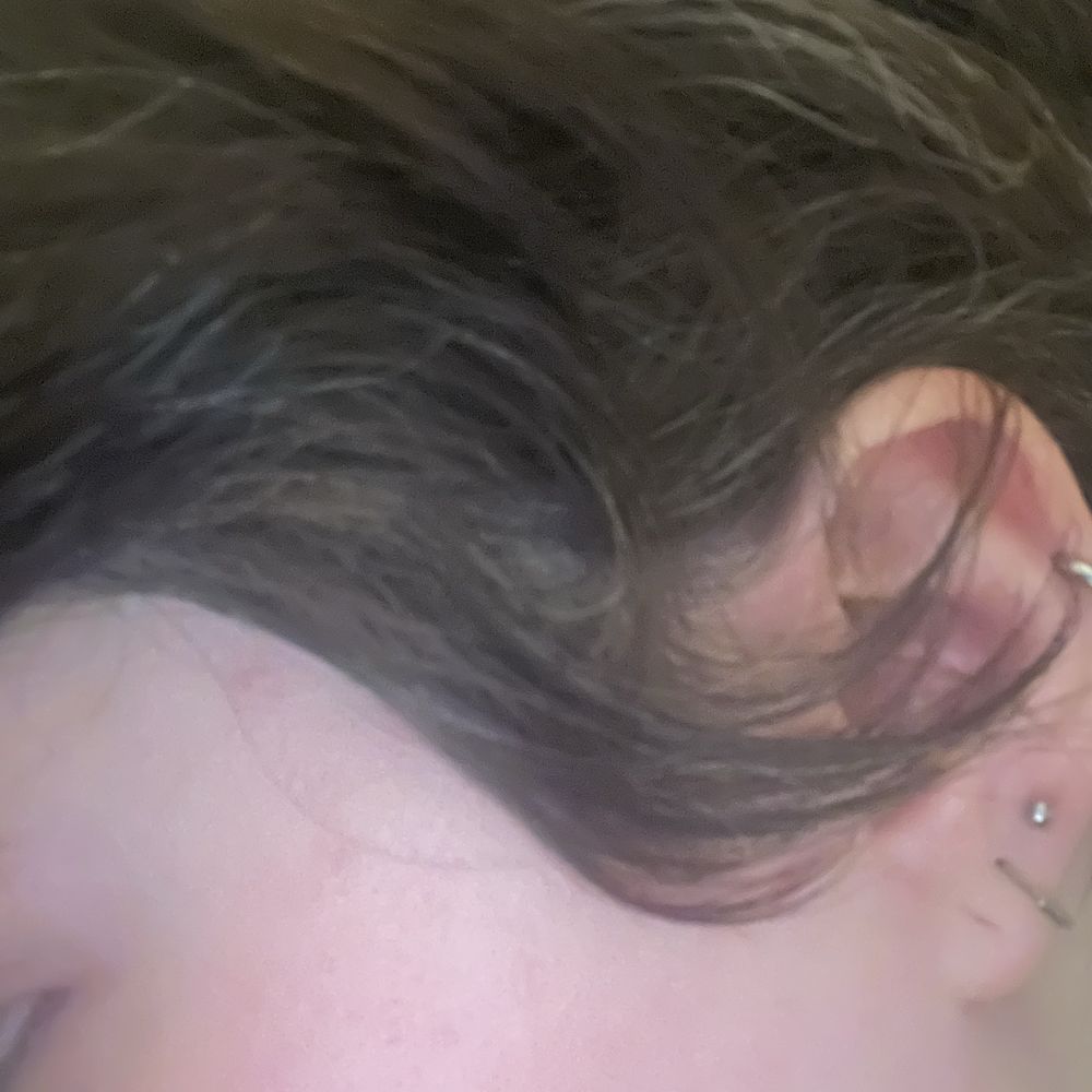 Live by the Sword Tattoo - Third lobe piercing in my left ear was well spaced - Tattoo Near Me - New York, New York