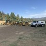 Quinn Cat Rentals
