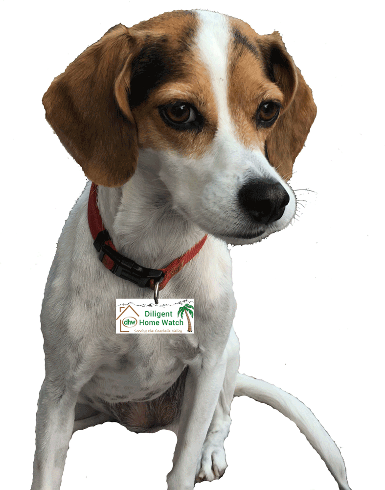 DILIGENT HOME WATCH Updated August 2024 Palm Desert, California