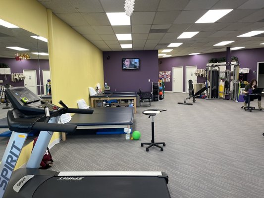 Olive Physical Therapy