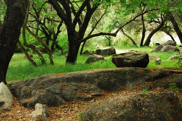 Potwisha Campground by null