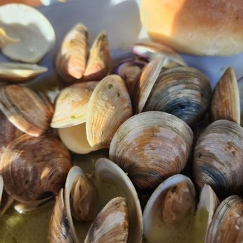 Steamers Clam Bar & Grill - Clam bowl - Seafood Near Me - Cedar Key, Florida Steamers Clam Bar & Grill - Clam bowl - Seafood Near Me - Cedar Key, Florida