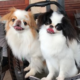Sachi & Miyuki