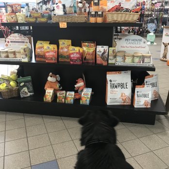 Rumford Pet - Pet Stores Near Me - East Providence, Rhode Island