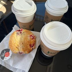 The Sea Biscuit Cafe & Eatery - Cranberry muffin
