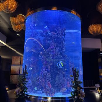 Atlantis Steakhouse - Steakhouses Near Me - RENO, Nevada Atlantis Steakhouse - Steakhouses Near Me - RENO, Nevada