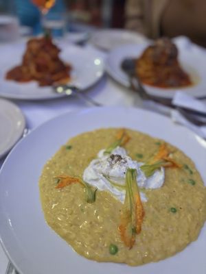 Spina by null Spina by null