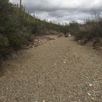 Tucson Mountain Park - Hiking Near Me - Tucson, Arizona Tucson Mountain Park - Hiking Near Me - Tucson, Arizona