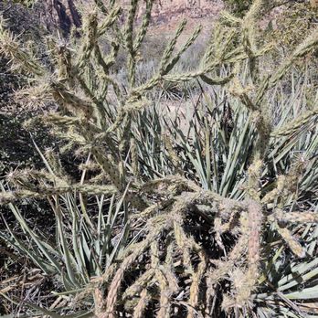 Red Rock Canyon - Hiking Near Me - Las Vegas, Nevada Red Rock Canyon - Hiking Near Me - Las Vegas, Nevada