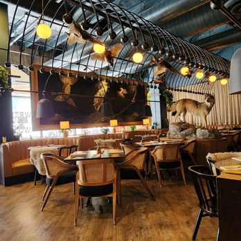 Wren & Wolf - Cocktail Bars Near Me - Phoenix, Arizona