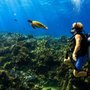 Photo of In2Scuba Diving  Maui Dive Co