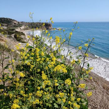 Abalone Cove Park - Parks Near Me - Rancho Palos Verdes, California