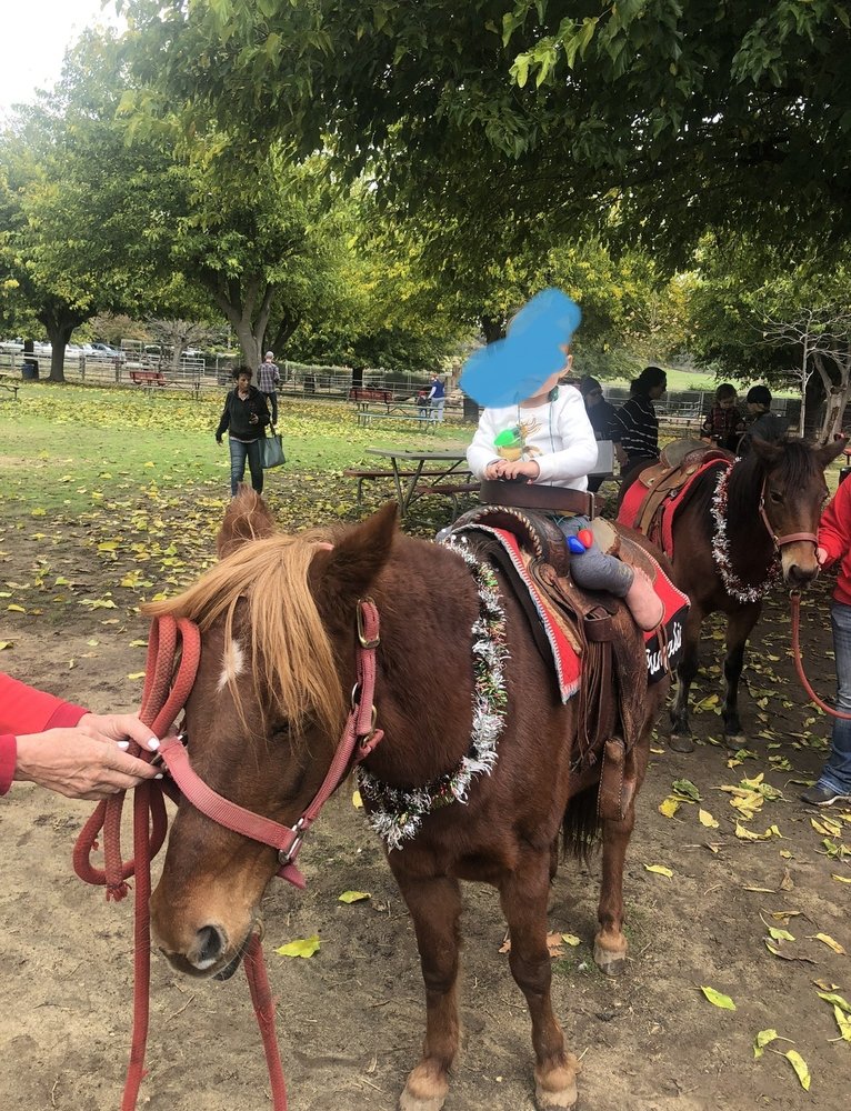 SNOWS PONY RIDE’S AND FARM ANIMALS 44 Photos & 33 Reviews Valley