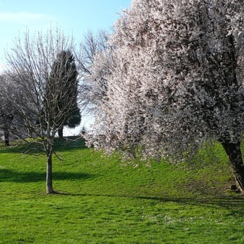 Overlook Park - Parks Near Me - Portland, Oregon Overlook Park - Parks Near Me - Portland, Oregon