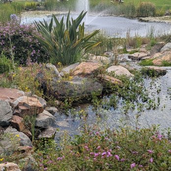 Truffle Pig Winery & Vineyards - Wineries Near Me - Temecula, California