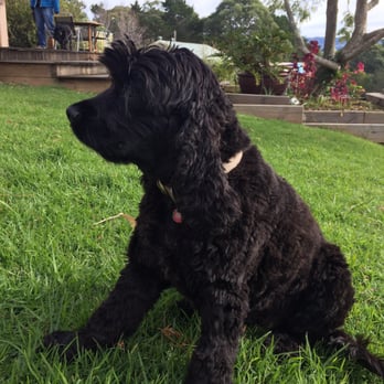 Back 2 Earth - Meet Ebony - Farm Host - Vegan Near Me - Berry, NSW