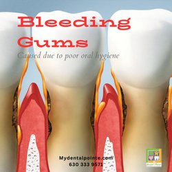 Dental Pointe - #dentalpointe #dentist