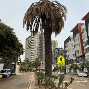 So Cal Tree Care - Tree Services Near Me - Escondido, California So Cal Tree Care - Tree Services Near Me - Escondido, California