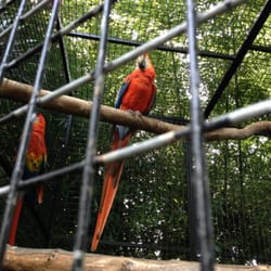Zoo d'Asson