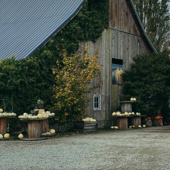Gordon Skagit Farms - Fruits & Veggies Near Me - Mount Vernon, Washington Gordon Skagit Farms - Fruits & Veggies Near Me - Mount Vernon, Washington