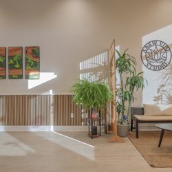 Anew Vibe Studio