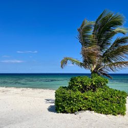 Blue Venado Beach Club