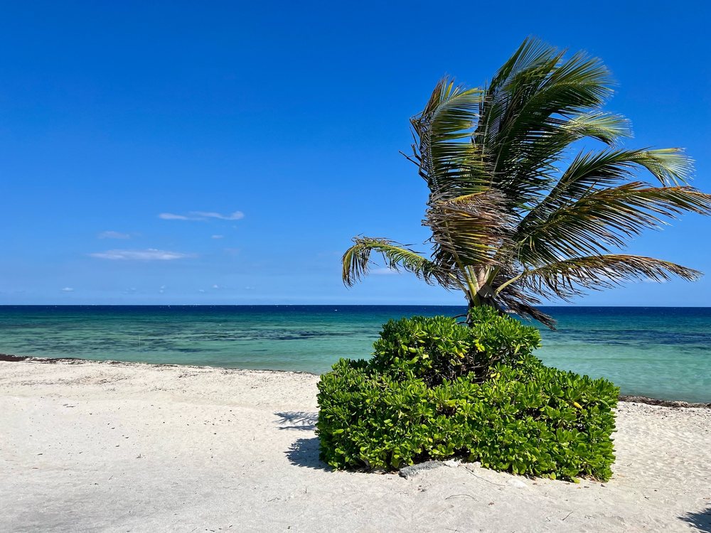 Blue Venado Beach Club