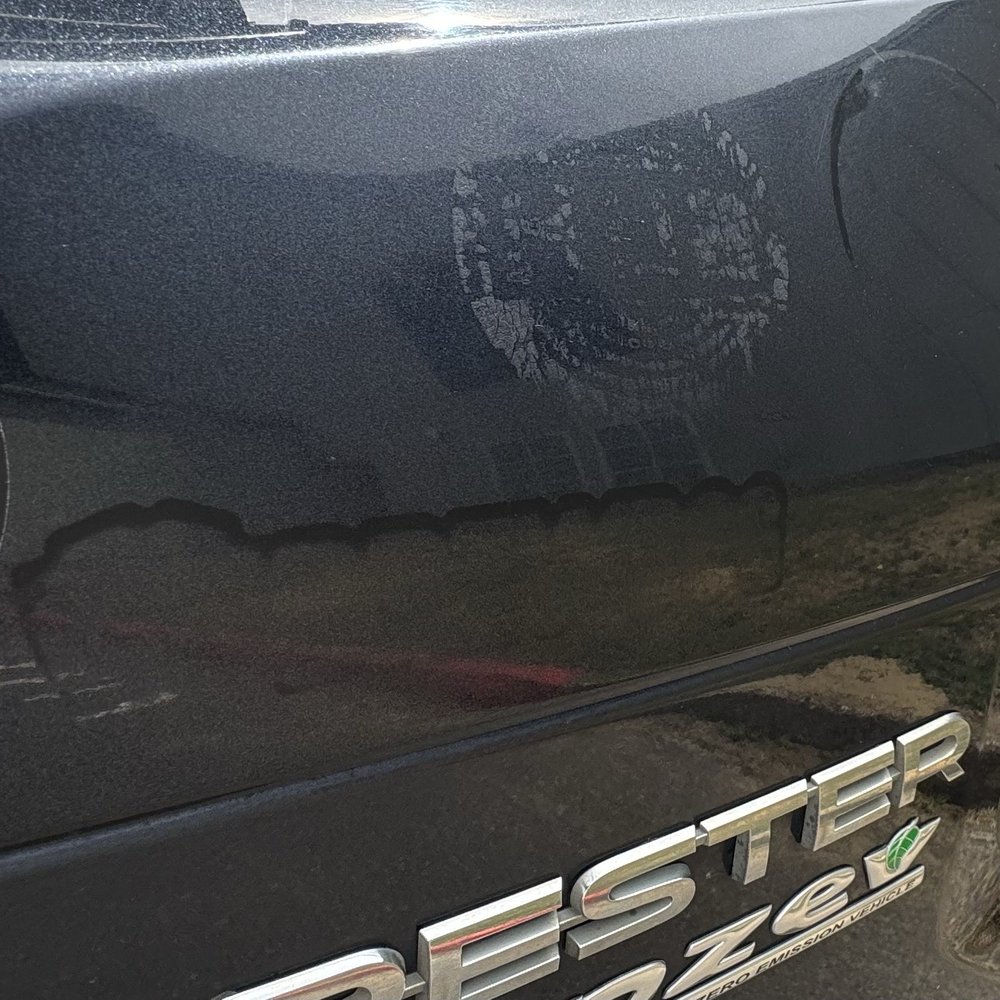 Clean Slate - Specifically hired to remove bumper stickers: Did not succeed or even come close. - Auto Detailing Near Me - Newport, Oregon