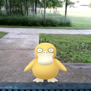 Care Dental - Pokemon - General Dentistry Near Me - San Antonio, Texas