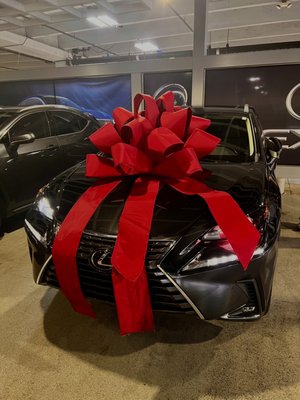 LEXUS OF PEMBROKE PINES - Updated February 2026 - 196 Photos & 502