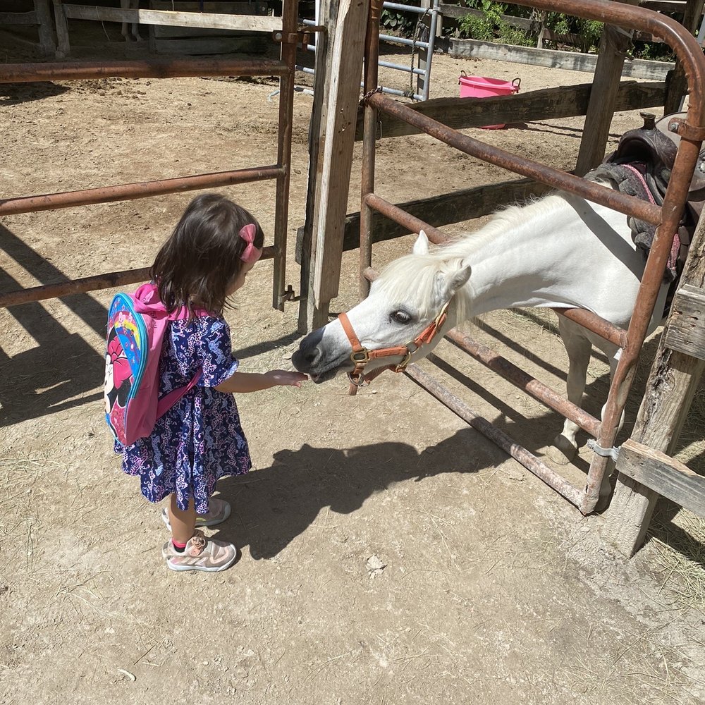 ​Happi Farm - Meeting a new friend. Pony ride comes with donation. - Community Service/Non-Profit Near Me - Davie, Florida