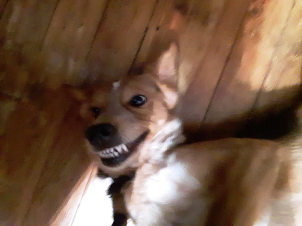 AU Electric - veterans service organization in Billings, MT