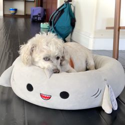 C & C Pet Food & Supplies for Less