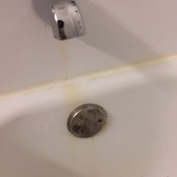 Silver Beach Hotel - Just what everyone likes to see the first time they get in their hotel shower. - Hotels Near Me - St. Joseph, Michigan Silver Beach Hotel - Just what everyone likes to see the first time they get in their hotel shower. - Hotels Near Me - St. Joseph, Michigan