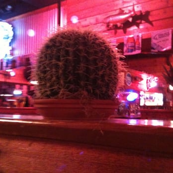 Texas Roadhouse - Cactus on the counter. - Steakhouses Near Me - Durham, North Carolina Texas Roadhouse - Cactus on the counter. - Steakhouses Near Me - Durham, North Carolina