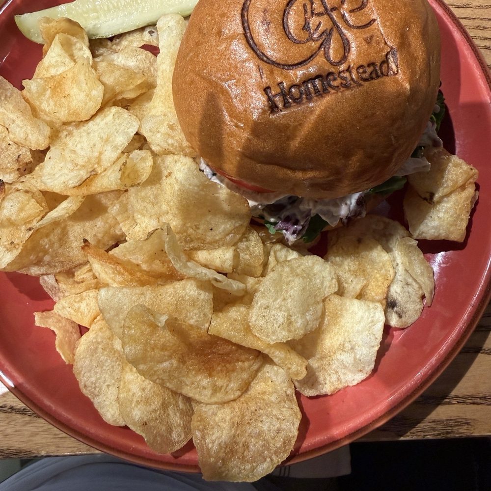 CHICKEN SALAD SANDWICH CHICKEN SALAD SANDWICH