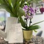Photo of Washington Orthodontics