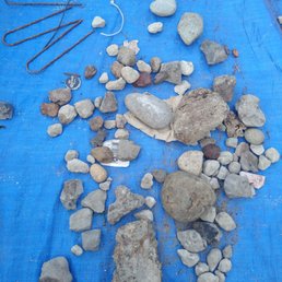 Sample of 1 bucket of random stuff found in our "walk on bark" for our kids playground area. Sample of 1 bucket of random stuff found in our "walk on bark" for our kids playground area.