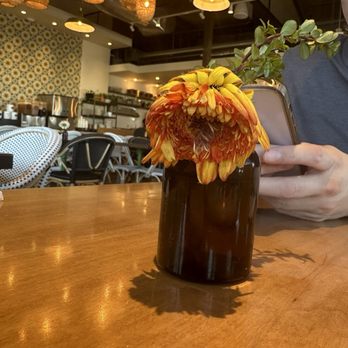 Flower Child - Salad Near Me - Gilbert, Arizona Flower Child - Salad Near Me - Gilbert, Arizona