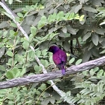 Columbus Zoo and Aquarium - Zoos Near Me - Powell, Ohio