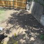 Photo of Trash It! Junk Removal of Wichita Falls