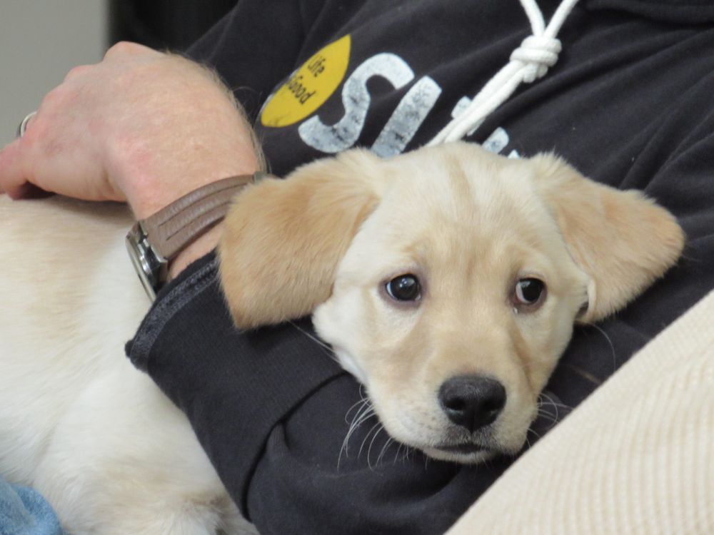 TOTAL HEALTH CENTER 850 Elm Grove Rd, Elm Grove, Wisconsin Massage