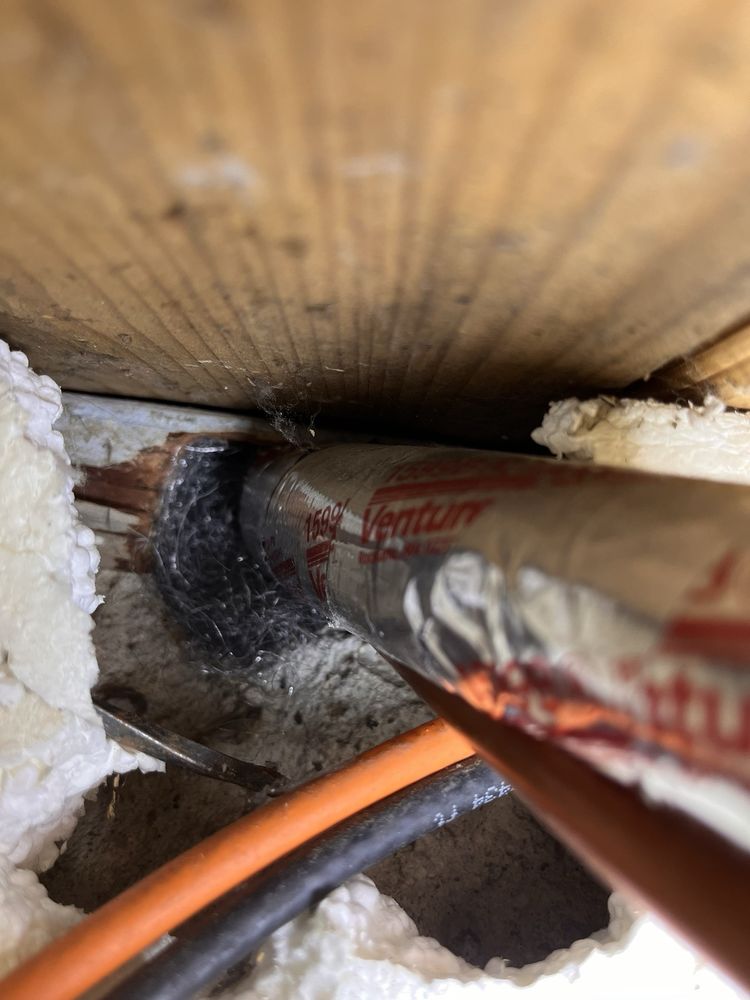 Presto Pest Solutions - veterans service organization in Meridian, ID