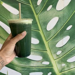 Daily Vitamins Juice with Spirulina & Hemp Seed Daily Vitamins Juice with Spirulina & Hemp Seed