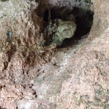 Cenote Zaci - Do you see a dinosaur? - Swimming Pools Near Me - Valladolid, YUC Cenote Zaci - Do you see a dinosaur? - Swimming Pools Near Me - Valladolid, YUC