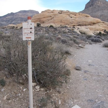 Calico Tanks Trail - Stay to the right at this trail junction. - Hiking Near Me - Las Vegas, Nevada Calico Tanks Trail - Stay to the right at this trail junction. - Hiking Near Me - Las Vegas, Nevada