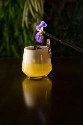 The Cage in Audubon by null