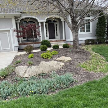 Grade-A Tree Care - Before: bedding area in dire need of attention. - Tree Services Near Me - Grandview, Missouri Grade-A Tree Care - Before: bedding area in dire need of attention. - Tree Services Near Me - Grandview, Missouri